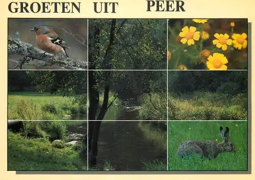 Belgium Erperheide Peer