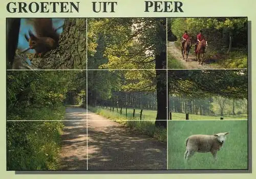 Belgium Erperheide Peer