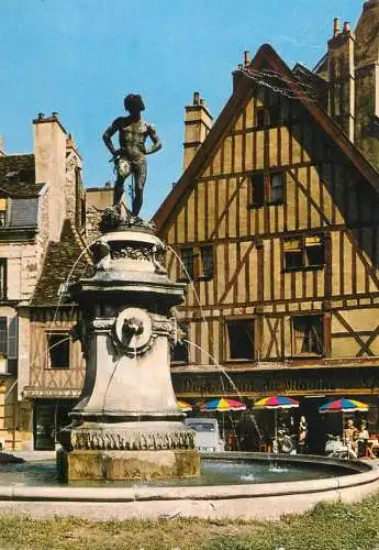 France Dijon la fontaine du Bareuzai