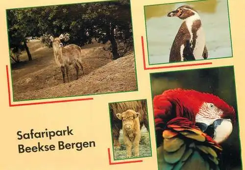 Netherlands Hilvarenbeek Beekse Bergen camping animals