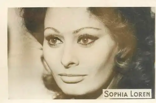Cinema star souvenir photo beauty Sophia Loren