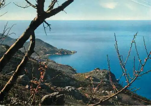 Italy Elba pittoresca Capo S Andrea