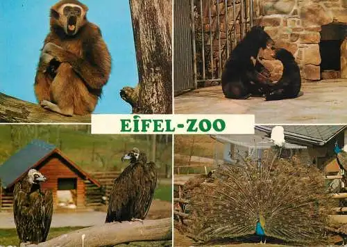 Germany Lunebach Pronsfeld Eifel Zoo animal types multi view