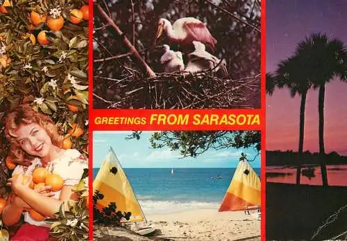 USA Sarasota FL several aspects