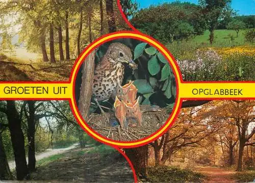 Belgium Groeten uit Opglabbeek multi view