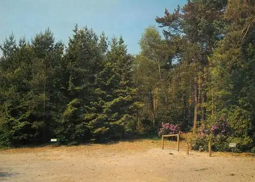Belgium Wildert Wildertse Duintjes