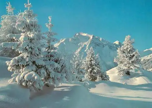 Austria Zillertal Tirol winter am Penken