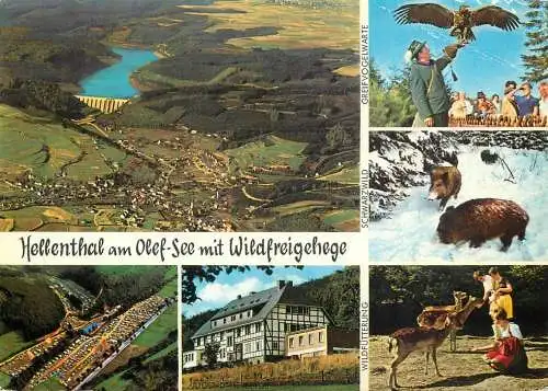 Germany Lufkurort Hellenthal am Olef-See mit Wildfreigehege multi view