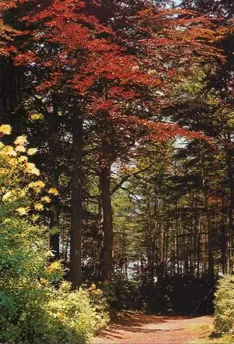 Netherlands Camping De Heidebloem