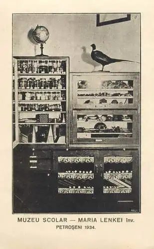 Muzeu scolar Maria Lenkei Petroseni 1934, Romania