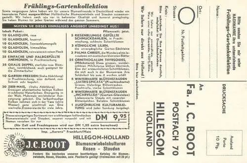 Advertising Garten-Fresien Zier-Mais J.C. Boot