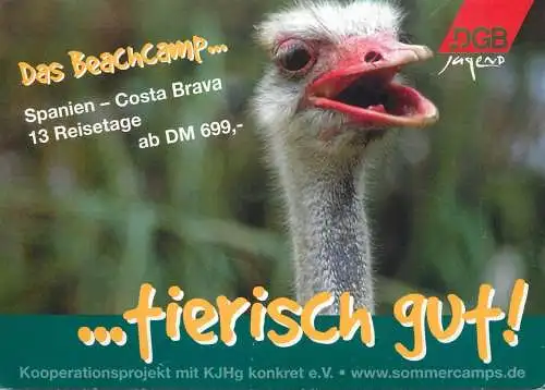 Advertising DGB Das Beachcamp