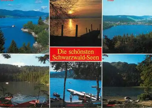 Germany Schwarzwald nature decks