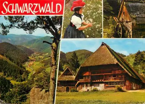 Germany Schwarzwald traditional scenes