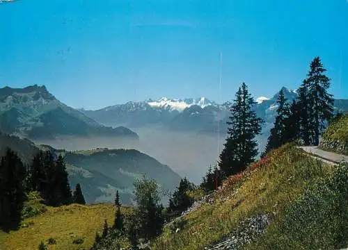 Switzerland Leysin les Dents du Midi