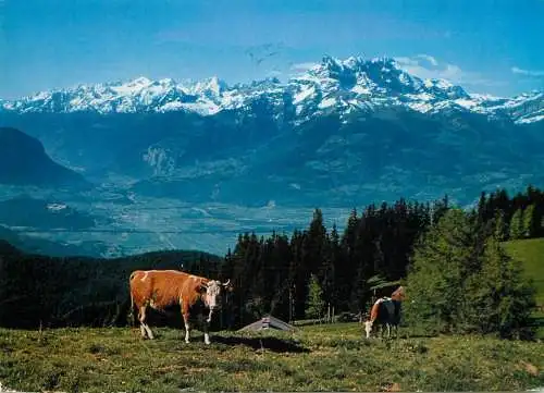 Switzerland Leysin Prafandaz