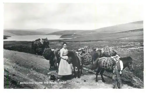 Unst bringing home the peats