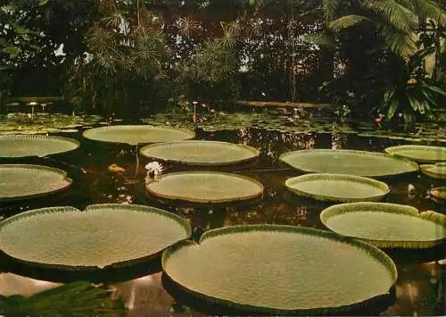 Belgium national botanical garden