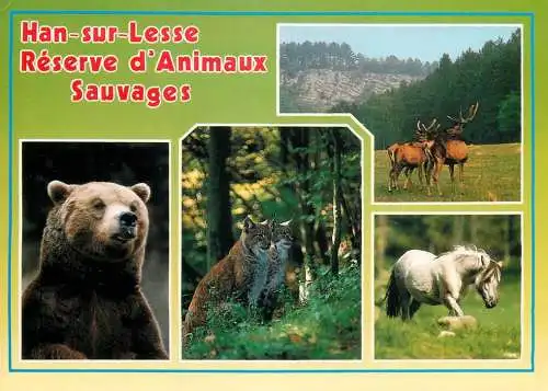 Belgium Han sur Lesse wild animals