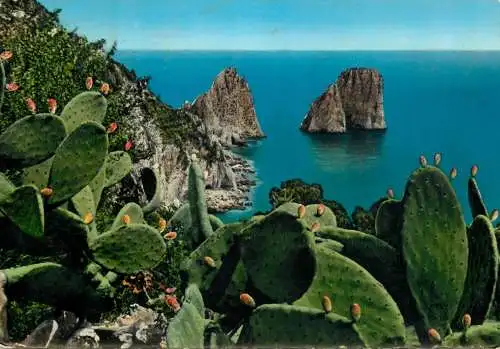 Italy Capri the Faraglioni