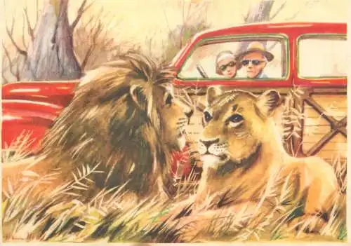 Old Paper Chromo Image Sanella Trade Card Africa Kruger National Park lions