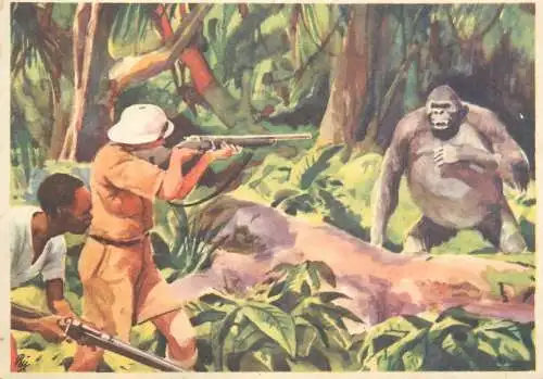 Old Paper Chromo Image Sanella Trade Card Africa gorilla hunting