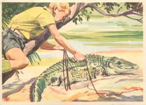 Old Paper Chromo Image Sanella Trade Card Africa Crocodile hunting