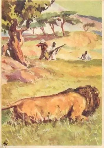 Old Paper Chromo Image Sanella Trade Card Africa lion hunters