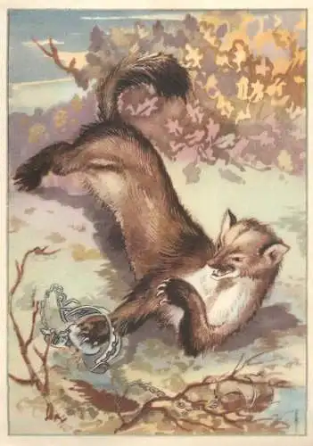 Old Paper Chromo Image Trade Card Resi-Bild 108 - animal hunting trap