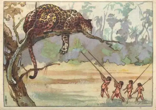 Old Paper Chromo Image Trade Card Resi-Bild 89 - native jaguar hunters