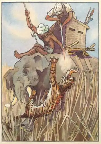 Old Paper Chromo Image Trade Card Resi-Bild 107 - Tiger hunters