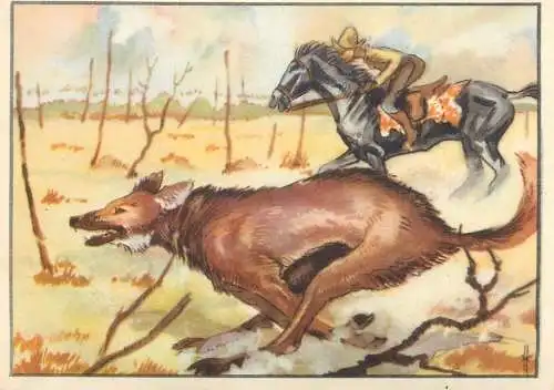 Old Paper Chromo Image Trade Card Resi-Bild 103 - Die Gauchos hetzen den Guara, den Mahnenwolf
