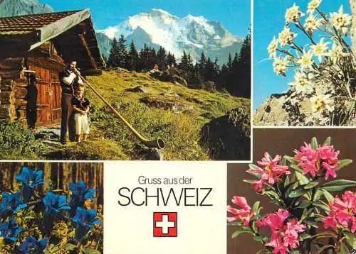 Switzerland mountains flowers