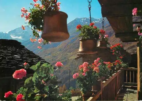 Switzerland chalet fleuri en Valais