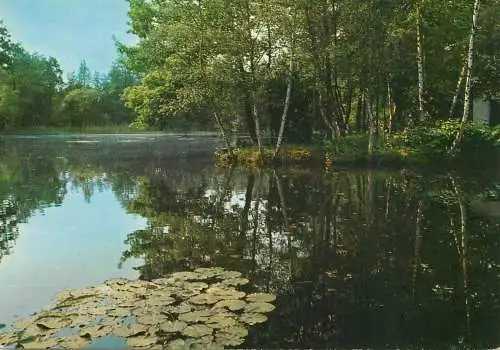 Belgium Zutendaal