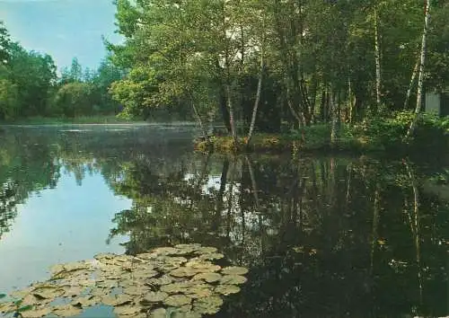 Belgium Zutendaal
