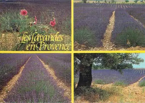 France Provence