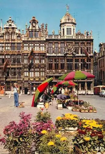 Belgium Bruxelles Grand Place