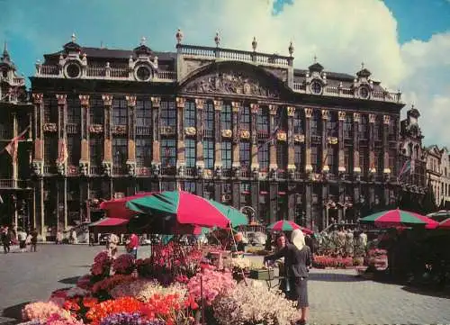 Belgium Bruxelles Grand Place