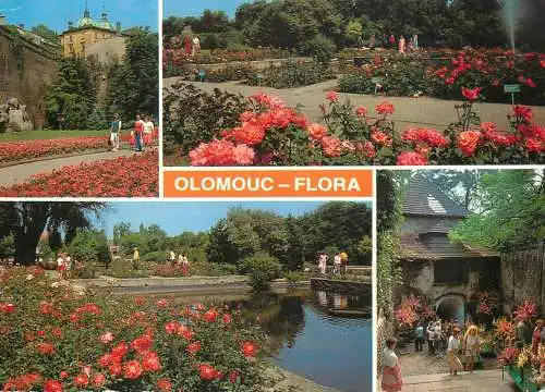 Czech Republic Olomuc Flora