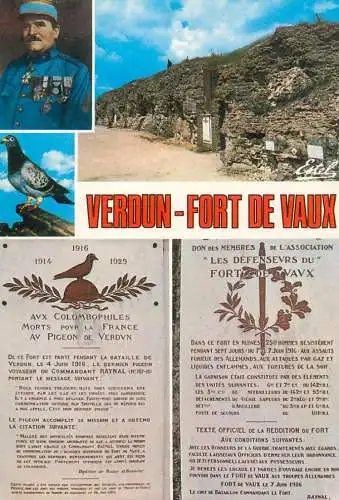 France Verdun