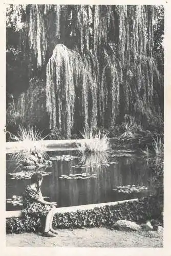 Crimea arboretum botanical garden
