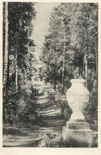 Russia Zelenogorsk arboretum