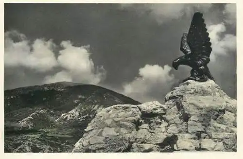 Russia Pyatigorsk eagle