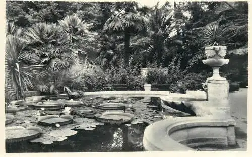 Russia Soci arboretum and fountain