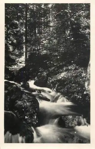 Germany Thuringer Wald Vessertal picturesque natural landscape