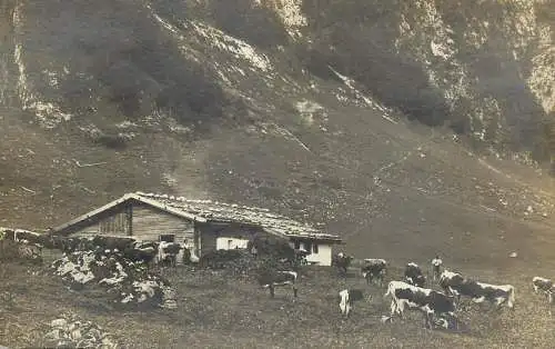 Mountain farmhouse & cow herd place to identify