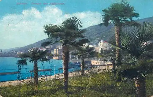 Abbazia palmen am Sudstrand 1913