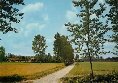 Italy scenic postcard trees