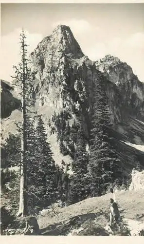 Aggenstein near Pfronten, Bavaria, Germany